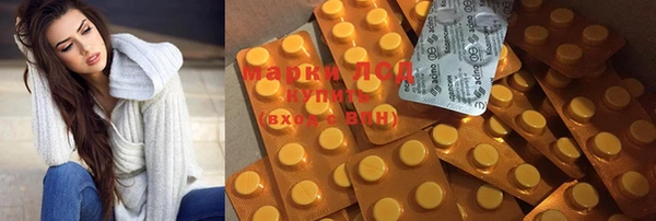 ГАЛЛЮЦИНОГЕННЫЕ ГРИБЫ Балахна