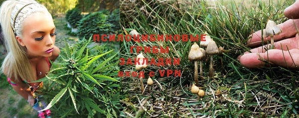 ГАЛЛЮЦИНОГЕННЫЕ ГРИБЫ Балахна
