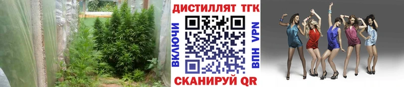 это состав  Чадан  ТГК Wax 